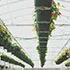 绿茵体育junbao